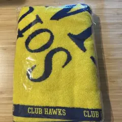 Item thumbnail for item 8e7ed8d7-1922-4207-979d-5f6c119c3016