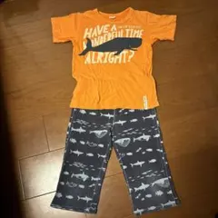 ブリーズ　Ｔシャツ　JUNKSTORE パンツ　130センチ　セット