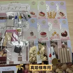 樹脂粘土でつくるミニチュアフード50