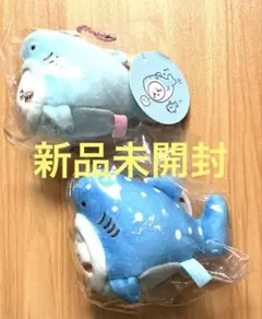 Item thumbnail for item be490e75-912c-4040-b702-56c551eb4348