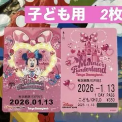 でらら様 リクエスト 2点 まとめ商品