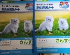 Item thumbnail for item 1ecbc3e6-1755-41ea-bdd7-1563801b0b50