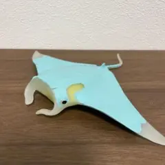 アンドコ　オニイトマキエイ　クジラアタックアンドコ　&Co エイ