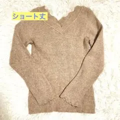 フリーズマート Vネック短丈ニット