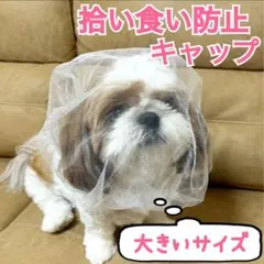 拾い食い防止キャップ 大きいサイズ 拾い食い防止 誤飲防止 犬口輪 犬マズル