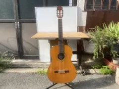 2026年最新】FERNANDES GC 20の人気アイテム - メルカリ