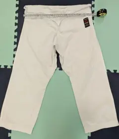 Item thumbnail for item 824aab57-8560-49d7-8365-12c3c7f03eb3