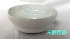 ④小皿 11個と急須セットとおまけ付