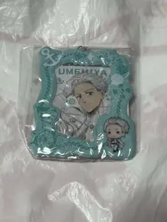新品未使用 梅宮 WIND BREAKER カード付きトレカケースGiGO限定①