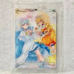 【内袋未開封】プリキュア カード ウエハース6 N No.07