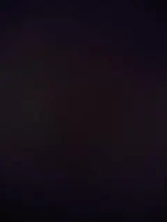 確認用のサムネイル