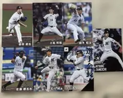 2025プロ野球チップスカード 千葉ロッテマリーンズ