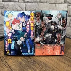 BL 小説　２冊セットのサムネイル