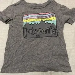 Patagonia グレー Tシャツ