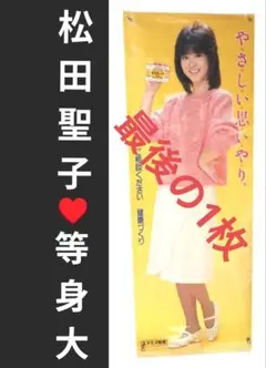 モデル ポスター ピンク セーター