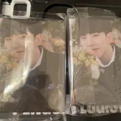 ホシ　fml carat盤