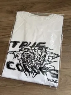 2026年最新】全力回避フラグちゃんtシャツの人気アイテム - メルカリ