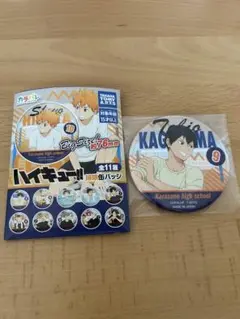 ハイキュー！！カラパレ　掃除　影山飛雄