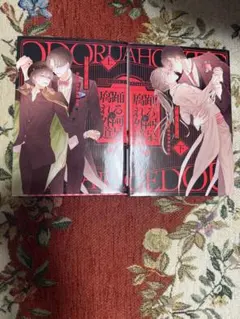 踊る阿呆と腐れ外道 あかねソラ 上下 BL漫画