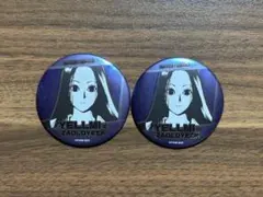 2026年最新】hunter✕hunter コレクション缶バッジの人気アイテム