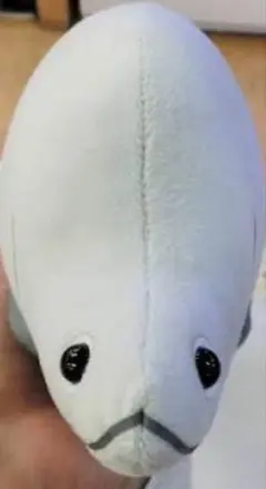 らも専用