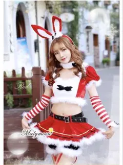 2026年最新】マリームーン サンタ うさぎの人気アイテム - メルカリ