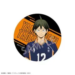 ハイキュー！！ ホログラム缶バッジ 缶バッチ 等身 山口忠