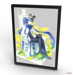 れ*す様 新品 MK15th project B5パブミラー カイト 10th - メルカリ