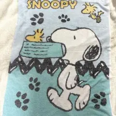スヌーピー タオルケット 80×110cm お昼寝ケット ブルー SNOOPY