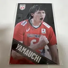 山内晶大 ステッカー 2枚セット