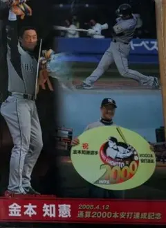 2026年最新】赤星憲広の人気アイテム - メルカリ