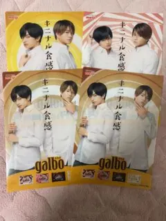 【今月いっぱいで処分】ふまけん クリアファイル4枚セット