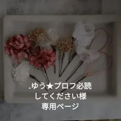 .ゆう★プロフ必読してください様専用ページ
