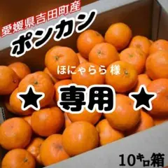 ✩ほにゃらら 様✩専用 ポンカン 10キロ箱