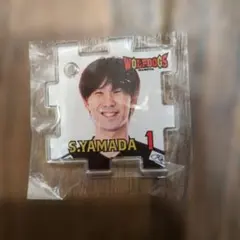 2025年最新】ウルフドッグス名古屋の人気アイテム - メルカリ