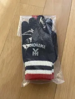 Item thumbnail for item 0024d6ca-766b-4fd2-ba41-232d3319ef98