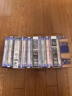 新品 ひぐらしのなく頃に ファンディスク 雛見沢事件録 DVD 全2巻