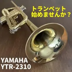 Item thumbnail for item ef86c053-99ce-44e8-afab-030c8b49672e