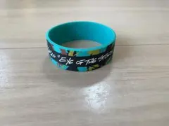 Item thumbnail for item 1cc579fe-f053-4462-888d-329f1c68c39f