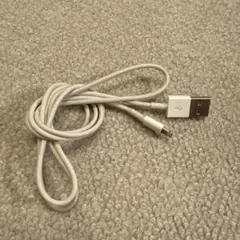 Apple純正 Lightning USBケーブル