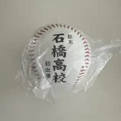 石橋高校 KOSHIEN 95周年校名ボール 2023