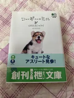 コーギーミニ