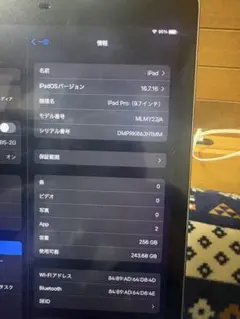 iPad mini（A17pro）ケース＆保護フィルム 箱無し モデルa2993 - メルカリ