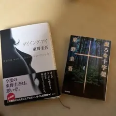 Item thumbnail for item be4c34c6-e1d3-4a3e-b97a-3cf2905128b4