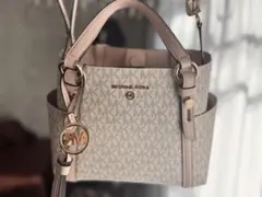 Item thumbnail for item 602c95ea-643a-463c-b273-26dbdeb4ce08