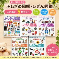 ふれあいしぜん図鑑 冬 春 夏 秋 4冊セット 小学校受験 美品】ふれあいしぜん図鑑 春夏秋冬 4冊セット - メルカリ
