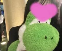 USJ限定 ヨッシー ぬいぐるみ スーパーニンテンドーワールド 美品