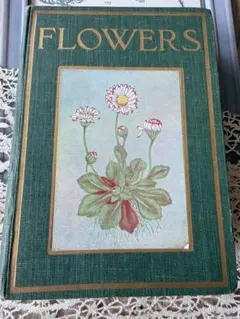 2026年最新】ボタニカルアート 洋書の人気アイテム - メルカリ