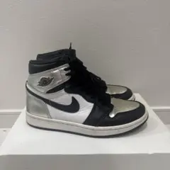 NIKE ナイキ エアジョーダン１ HighOG “シルバートゥ”23.5cm