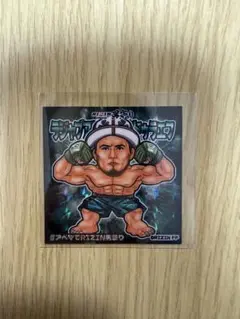 2026年最新】シェイドラエフの人気アイテム - メルカリ